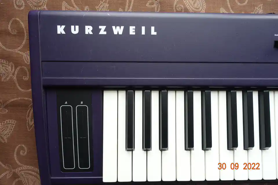 2022-09-30-05_Muziek-Instrumenten-01_Piano's _Keyboards-DSC04034 (© Marens van Leunen)