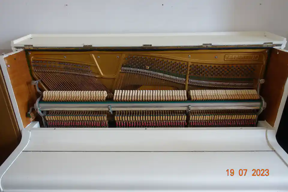 2023-07-19-05_Muziek-Instrumenten-01_Piano's_Keyboards-DSC05081 (© Marens van Leunen)