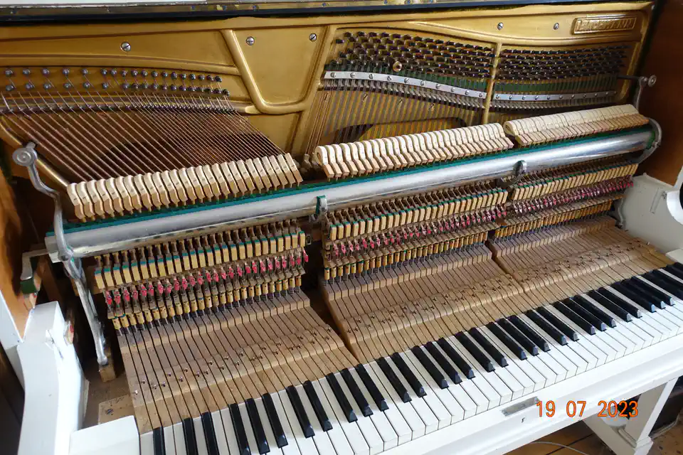 2023-07-19-05_Muziek-Instrumenten-01_Piano's_Keyboards-DSC05084 (© Marens van Leunen)